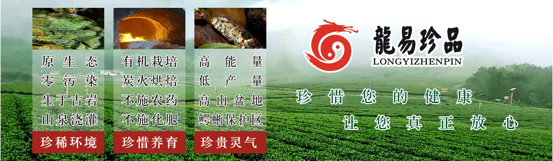 2019年陳香紅