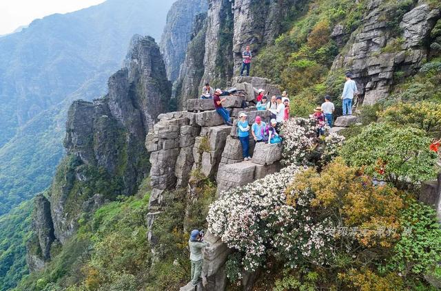 1626788344972365.jpg 下載 (2).jpg